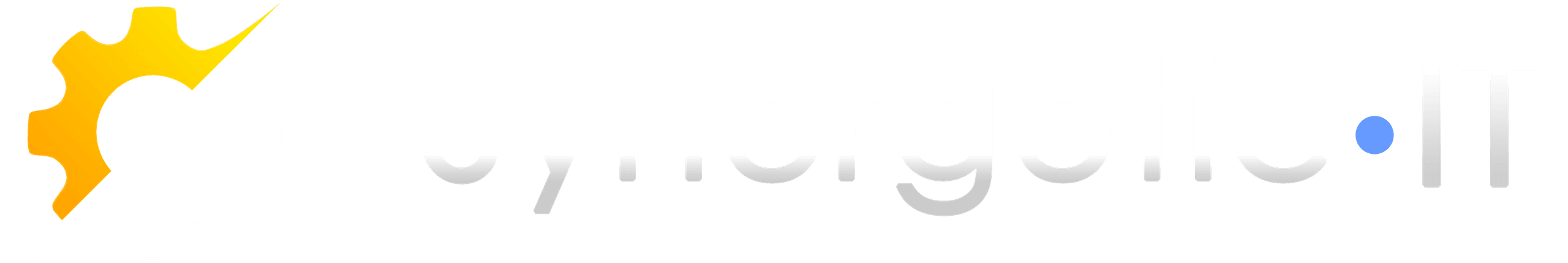 Synergetic IT