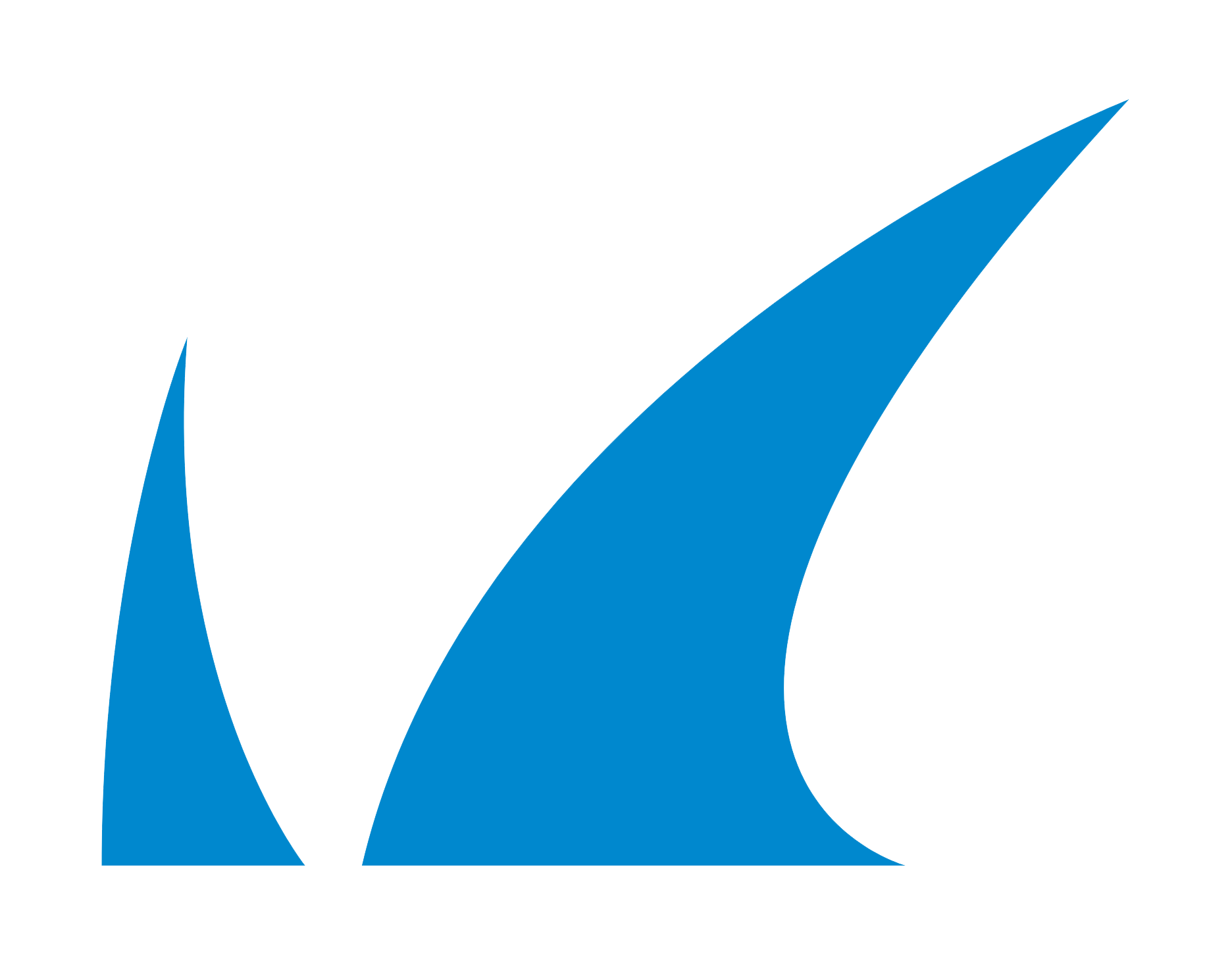 Synergetic IT - about partners barracuda logo transparent bg